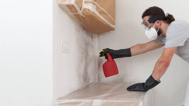 Professional Attic Mold Remediation technician working in Burnt Cabins, PA